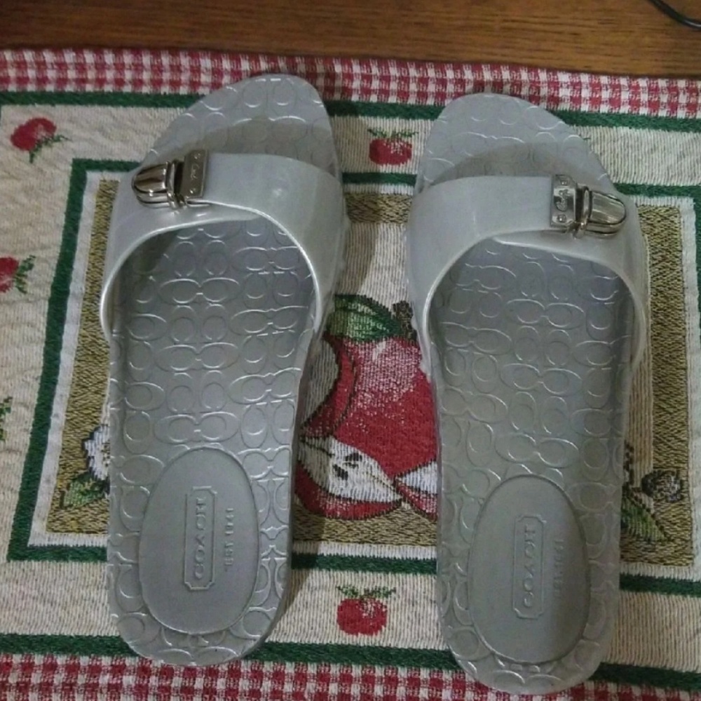 Coach slides
